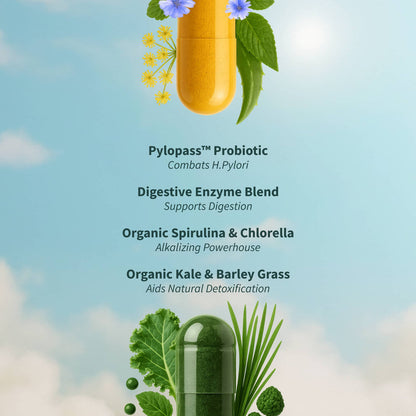 GUT RESET™ | Gut Health + Spirulina & Chlorella